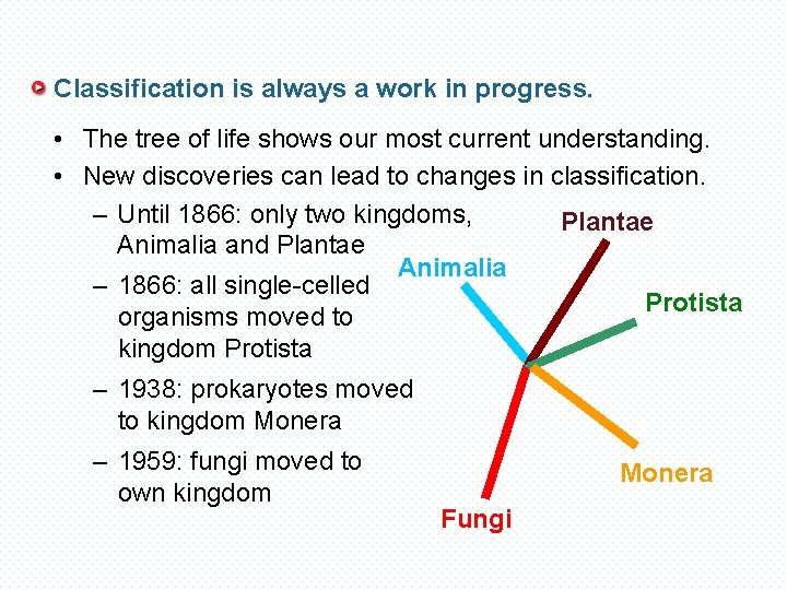 Classification is always a work in progress. • The tree of life shows our