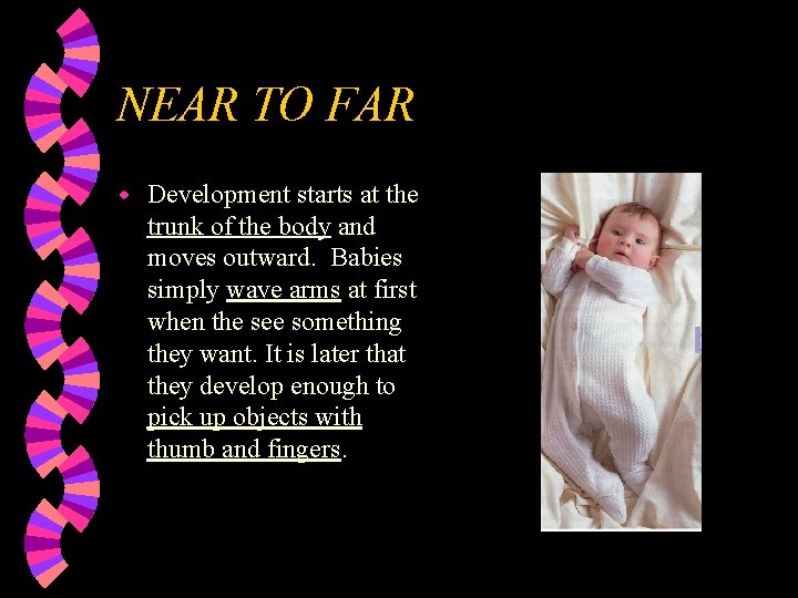 NEAR TO FAR w Development starts at the trunk of the body and moves