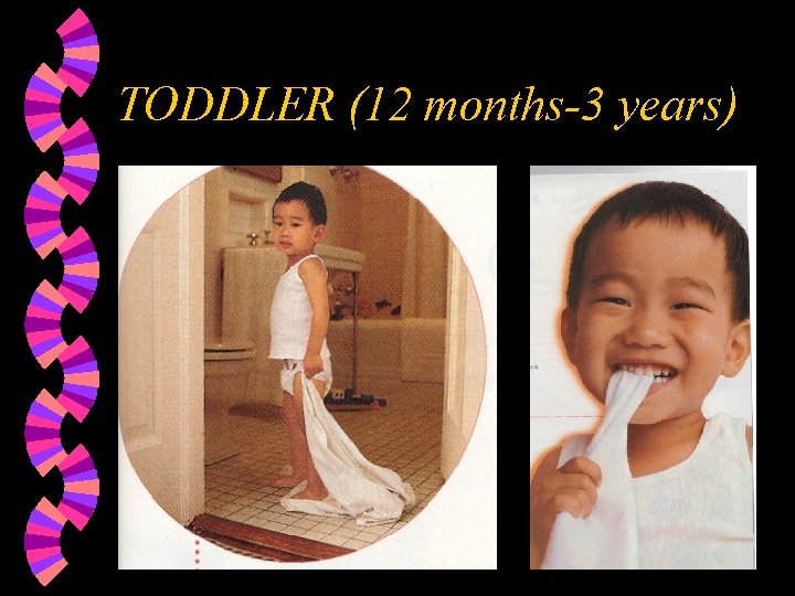 TODDLER (12 months-3 years) 