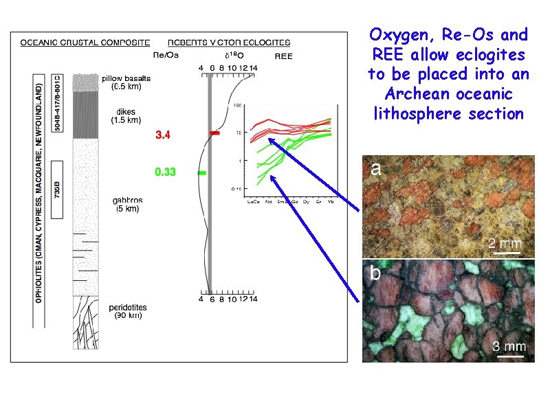 Oxygen, Re-Os and REE allow eclogites to be placed into an Archean oceanic lithosphere