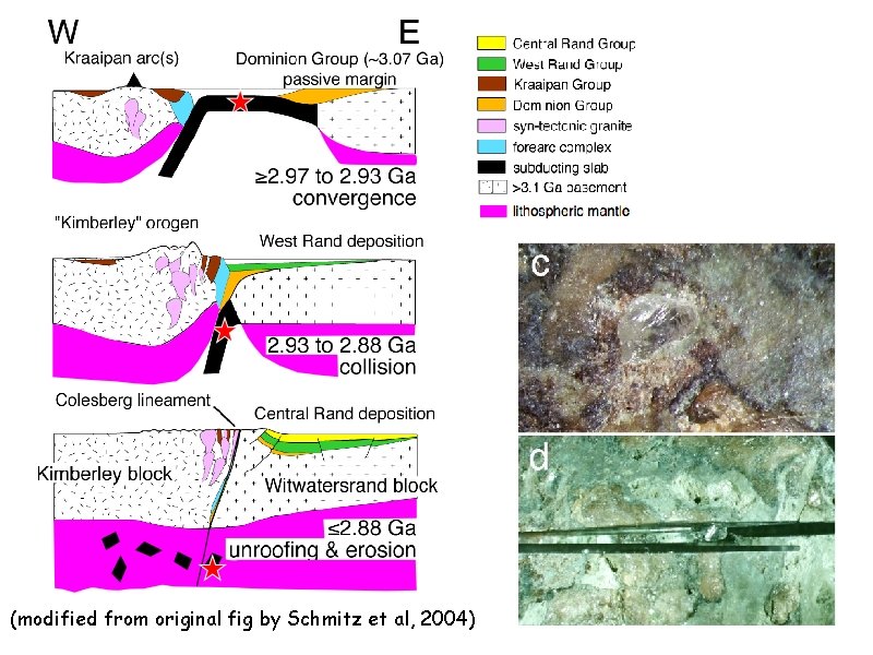 (modified from original fig by Schmitz et al, 2004) 