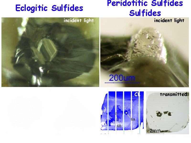 Eclogitic Sulfides incident light Peridotitic Sulfides incident light 20 μm SE SE CL transmitted