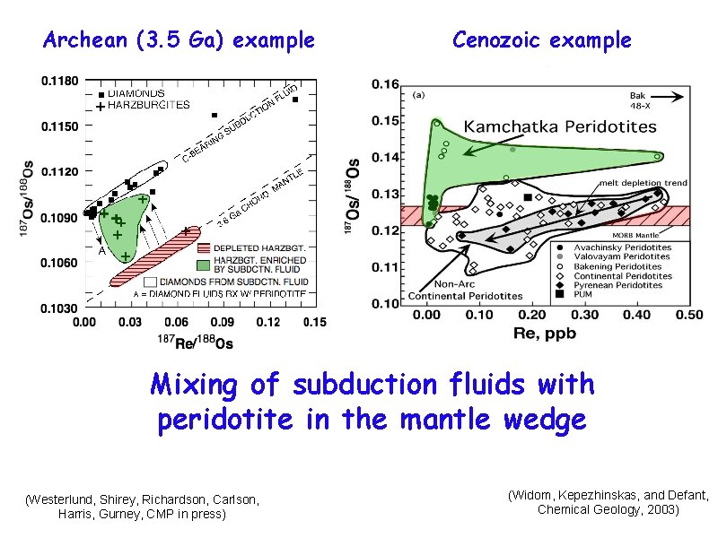 Archean (3. 5 Ga) example Cenozoic example Mixing of subduction fluids with peridotite in