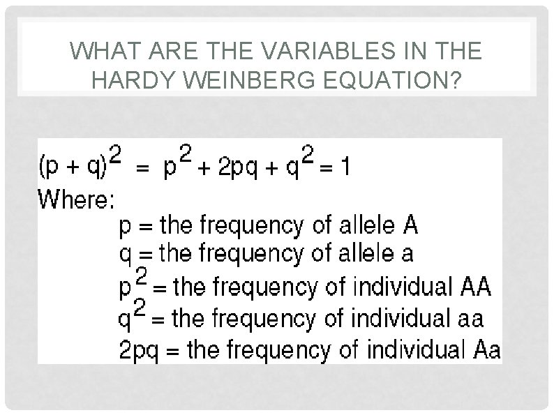 WHAT ARE THE VARIABLES IN THE HARDY WEINBERG EQUATION? 