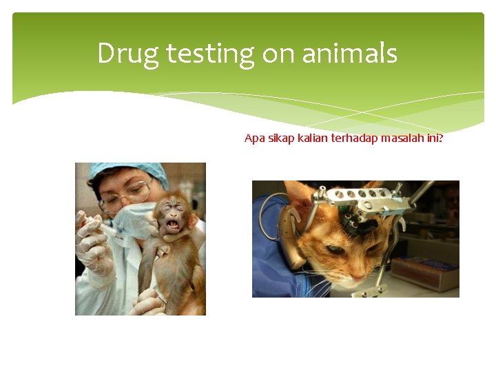 Drug testing on animals Apa sikap kalian terhadap masalah ini? 