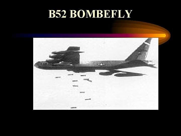 B 52 BOMBEFLY 