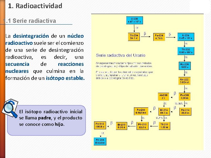 1. Radioactividad 1. 1 Serie radiactiva La desintegración de un núcleo radioactivo suele ser