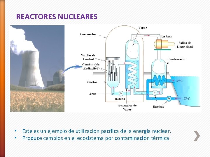 REACTORES NUCLEARES • Este es un ejemplo de utilización pacífica de la energía nuclear.