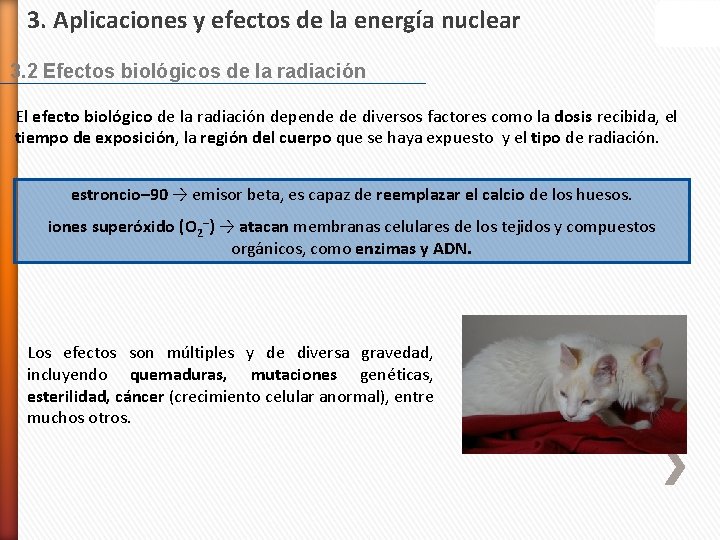 3. Aplicaciones y efectos de la energía nuclear 3. 2 Efectos biológicos de la