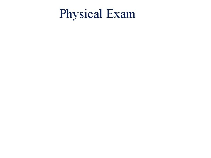 Physical Exam 