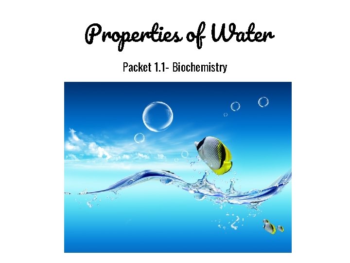 Properties of Water Packet 1. 1 - Biochemistry 