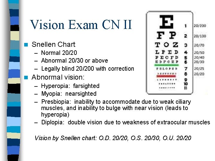 Vision Exam CN II n ………. Snellen Chart – Normal 20/20 – Abnormal 20/30