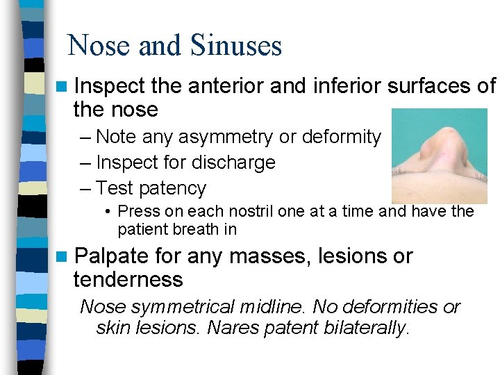 Nose and Sinuses n Inspect the anterior and inferior surfaces of the nose –