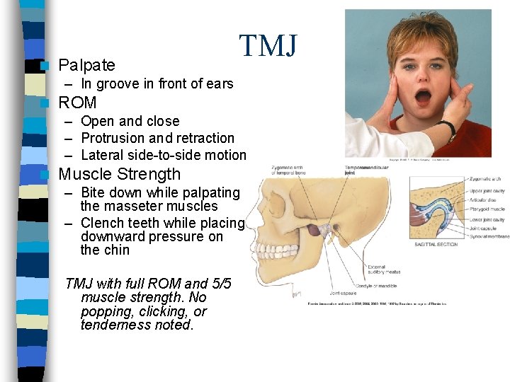 n Palpate TMJ – In groove in front of ears n ROM – Open