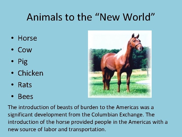 Animals to the “New World” • • • Horse Cow Pig Chicken Rats Bees