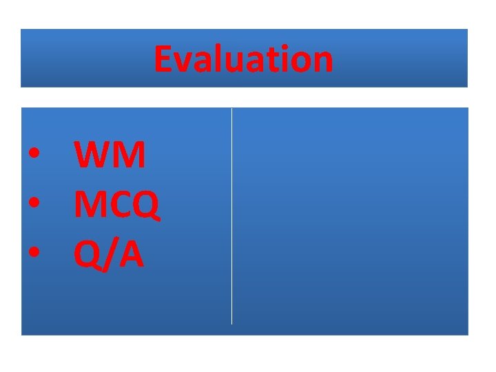 Evaluation • WM • MCQ • Q/A 