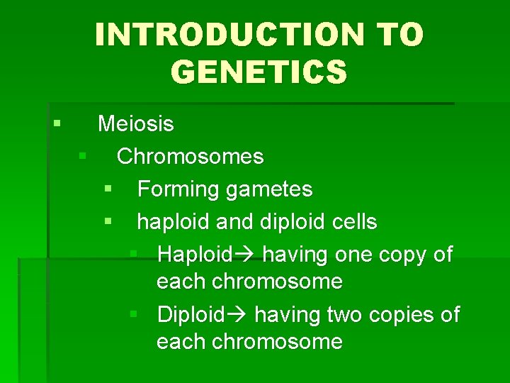 INTRODUCTION TO GENETICS § Meiosis § Chromosomes § Forming gametes § haploid and diploid