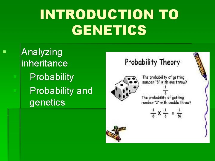 INTRODUCTION TO GENETICS § Analyzing inheritance § Probability and genetics 