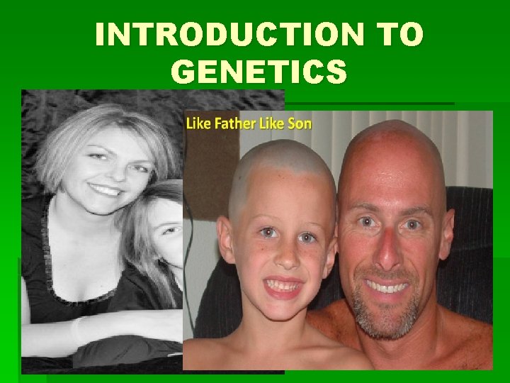 INTRODUCTION TO GENETICS 