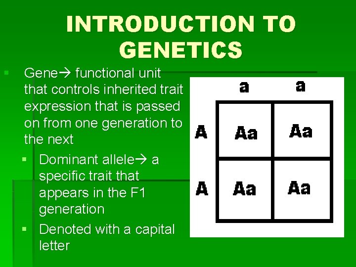 INTRODUCTION TO GENETICS § Gene functional unit that controls inherited trait expression that is