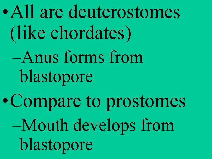 • All are deuterostomes (like chordates) –Anus forms from blastopore • Compare to