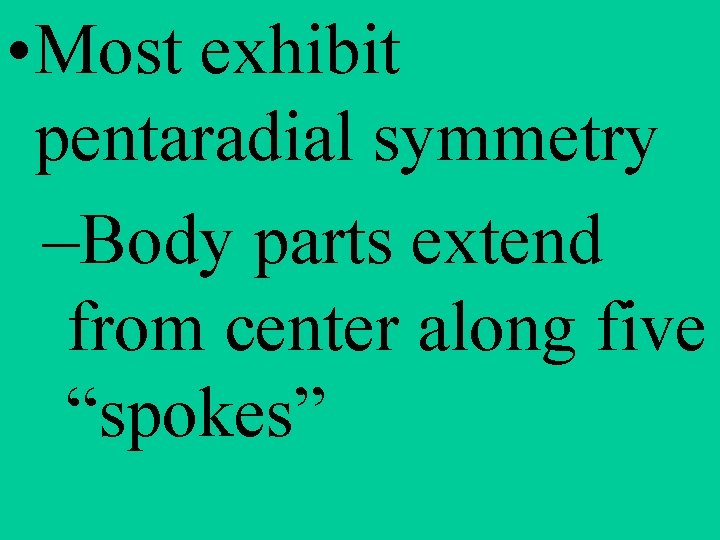  • Most exhibit pentaradial symmetry –Body parts extend from center along five “spokes”
