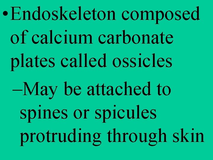  • Endoskeleton composed of calcium carbonate plates called ossicles –May be attached to