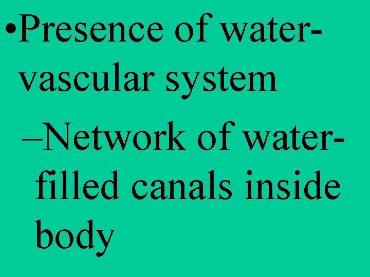  • Presence of watervascular system –Network of waterfilled canals inside body 