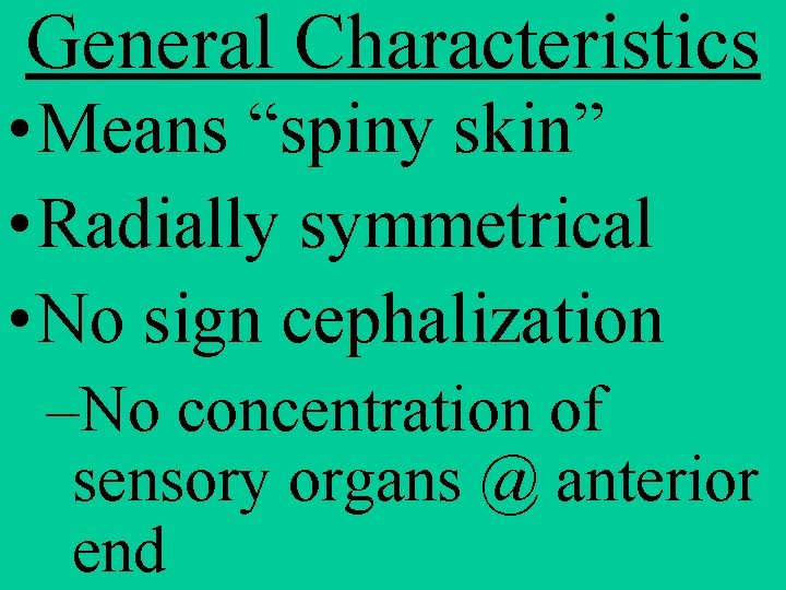 General Characteristics • Means “spiny skin” • Radially symmetrical • No sign cephalization –No