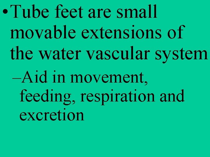  • Tube feet are small movable extensions of the water vascular system –Aid