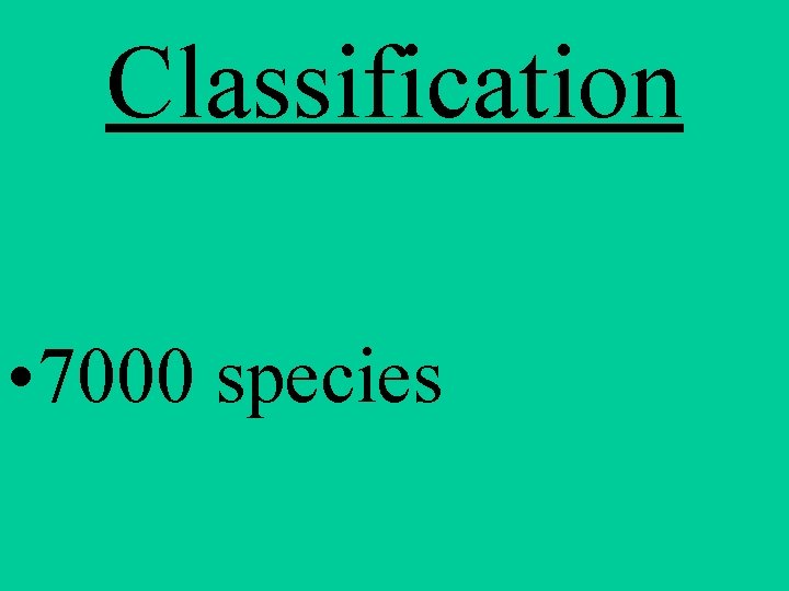 Classification • 7000 species 
