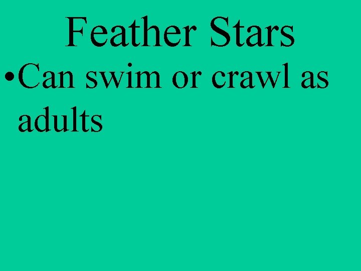 Feather Stars • Can swim or crawl as adults 