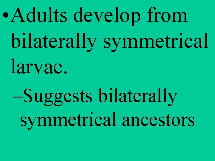  • Adults develop from bilaterally symmetrical larvae. –Suggests bilaterally symmetrical ancestors 