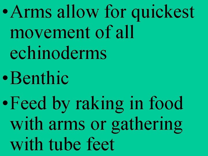  • Arms allow for quickest movement of all echinoderms • Benthic • Feed