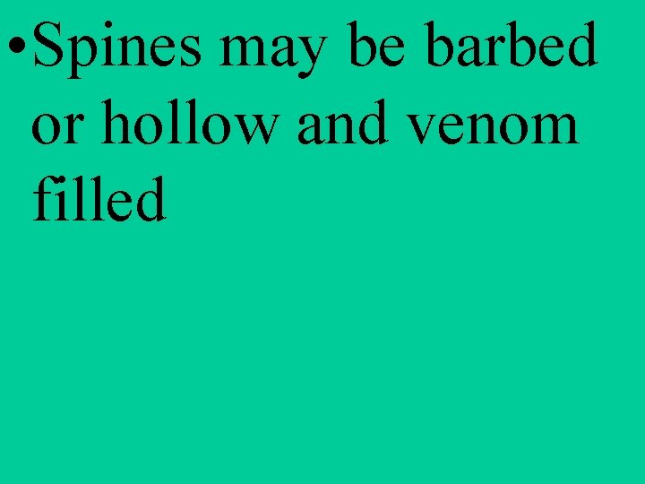  • Spines may be barbed or hollow and venom filled 