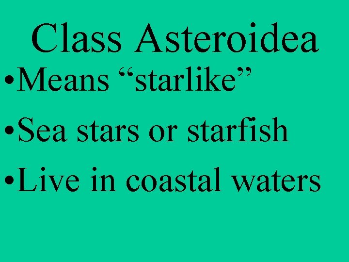 Class Asteroidea • Means “starlike” • Sea stars or starfish • Live in coastal