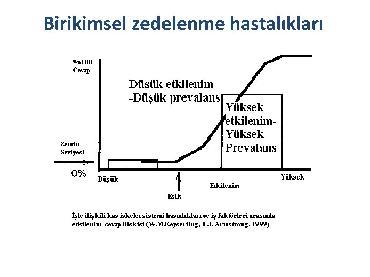 Birikimsel zedelenme hastalıkları 