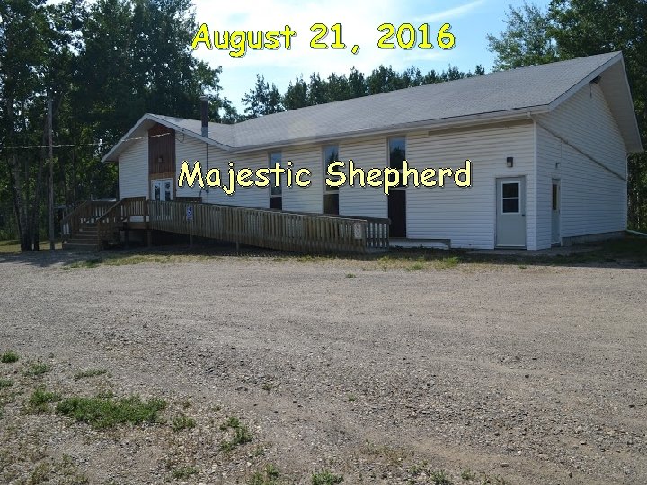 August 21, 2016 Majestic Shepherd 