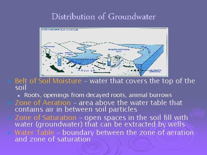 Distribution of Groundwater Ø Belt of Soil Moisture – water that covers the top