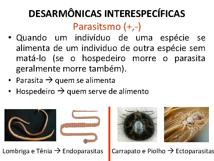 DESARMÔNICAS INTERESPECÍFICAS Parasitsmo (+, -) • Quando um indivíduo de uma espécie se alimenta