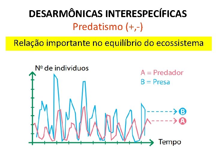 DESARMÔNICAS INTERESPECÍFICAS Predatismo (+, -) Relação importante no equilíbrio do ecossistema 