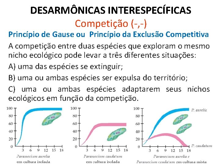 DESARMÔNICAS INTERESPECÍFICAS Competição (-, -) Princípio de Gause ou Princípio da Exclusão Competitiva A