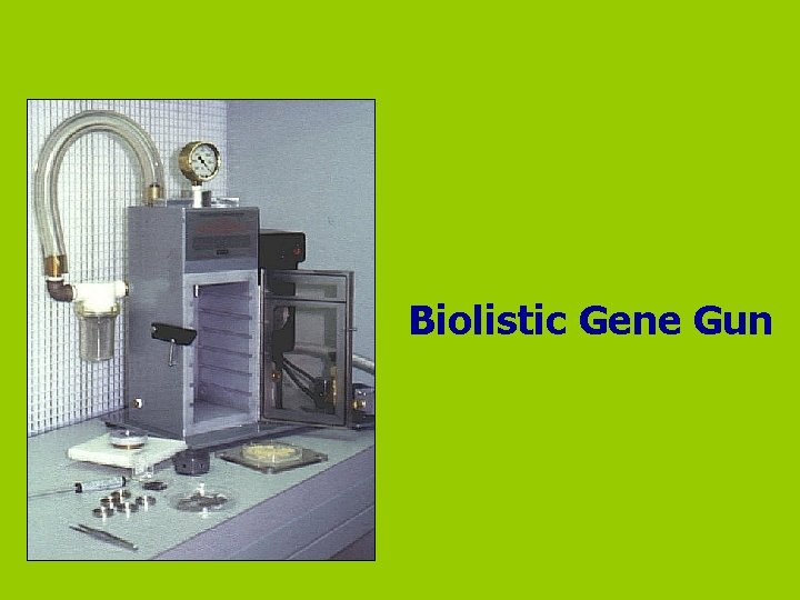 Biolistic Gene Gun 