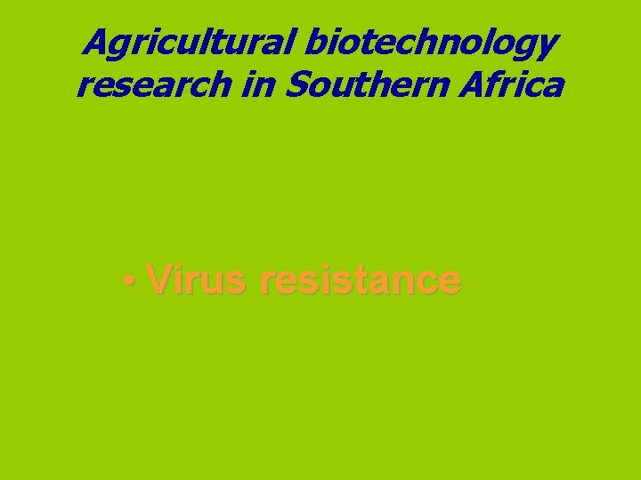 Agricultural biotechnology research in Southern Africa • Virus resistance 