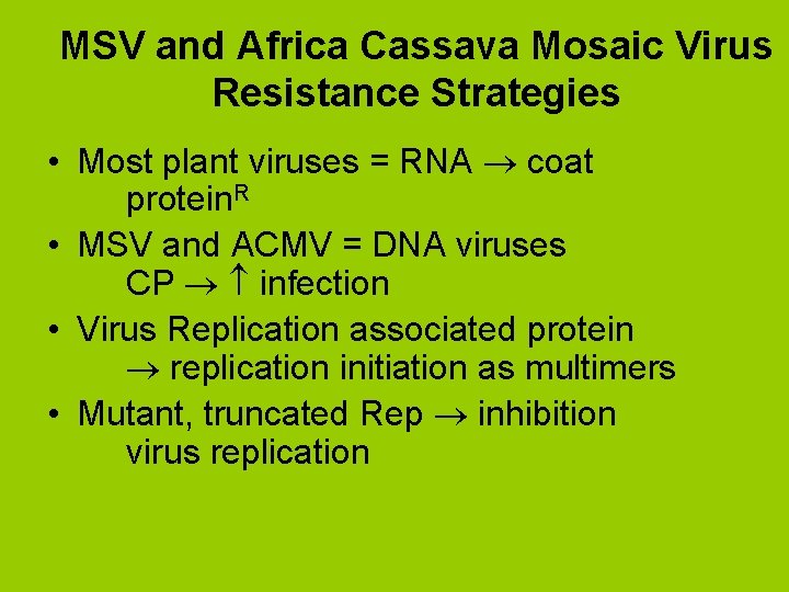 MSV and Africa Cassava Mosaic Virus Resistance Strategies • Most plant viruses = RNA