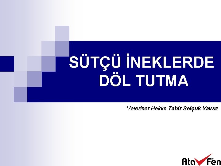 SÜTÇÜ İNEKLERDE DÖL TUTMA Veteriner Hekim Tahir Selçuk Yavuz 