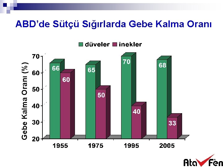 Gebe Kalma Oranı (%) ABD’de Sütçü Sığırlarda Gebe Kalma Oranı 