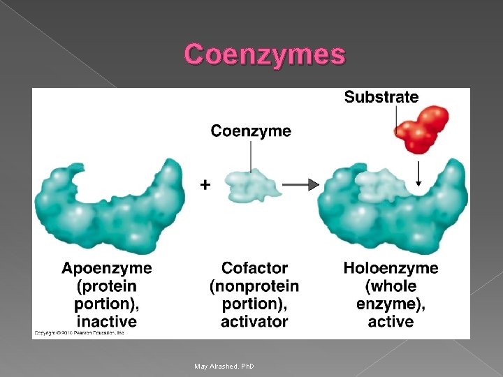 Coenzymes May Alrashed. Ph. D 