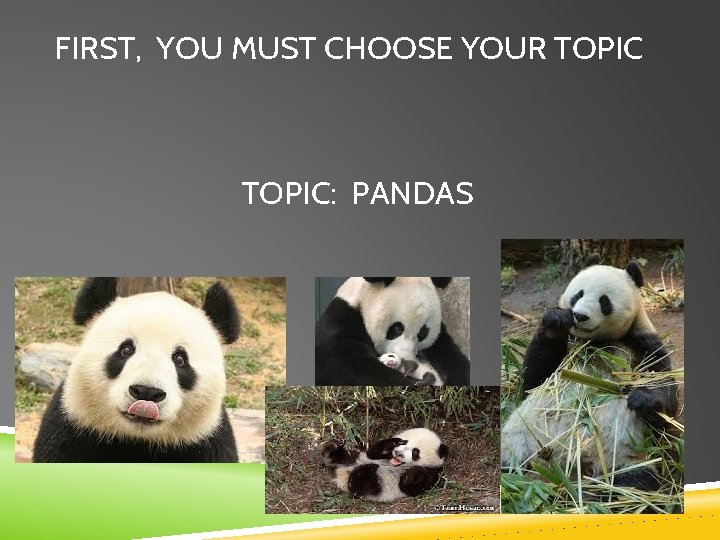 FIRST, YOU MUST CHOOSE YOUR TOPIC: PANDAS 