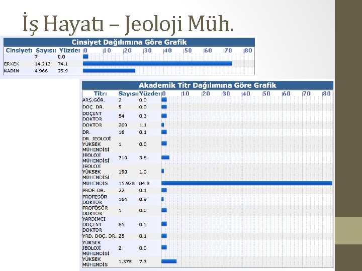 İş Hayatı – Jeoloji Müh. 